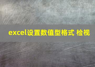 excel设置数值型格式 检视